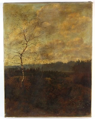 Lot 870 - John W Eyres/Silver Birch in a...