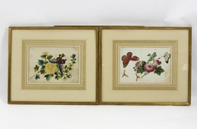 Lot 283 - 19th Century Chinese School/Five Botanical...