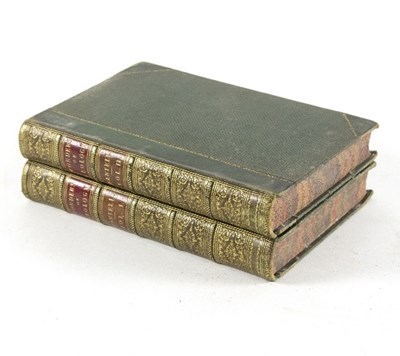 Lot 137 - Mantell (Gideon A) The Wonders of Geology,...