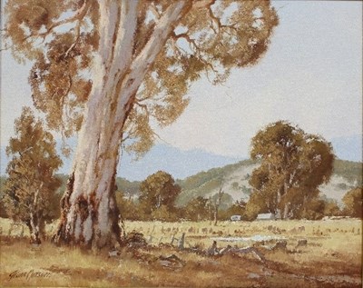 Lot 410 - Frank Mutsaers (Dutch 1920-2005)/Eucalyptus...