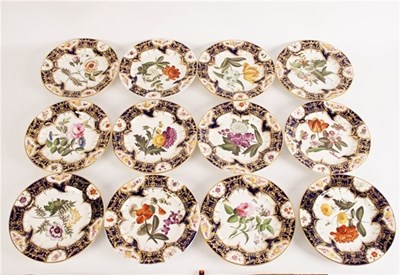 Lot 285 - Nineteen Davenport botanical plates with...