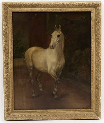 Lot 665 - English School circa 1900/Study of a Grey...