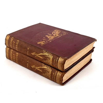 Lot 699 - Livingstone (David) The Last Journals, 2 vols.,...