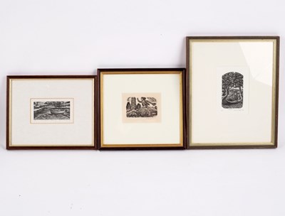 Lot 569 - David Gentleman (born 1930)/Skipping O'er the...