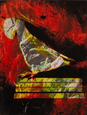 Lot 592 - Abigail Fallis (born 1968)/Bird Perched on...