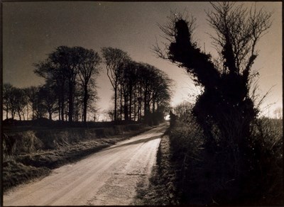 Lot 593 - David Murray (Contemporary)/Frosty Morning,...