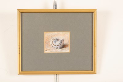 Lot 944 - John Ruskin (1819-1900)/Study of a Snail...