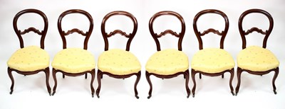 Lot 526 - Six Victorian walnut balloon back dining...