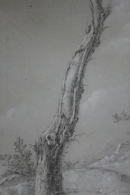 Lot 891 - Jean Francois Legillon (1739 - 1797)/Tree in a...