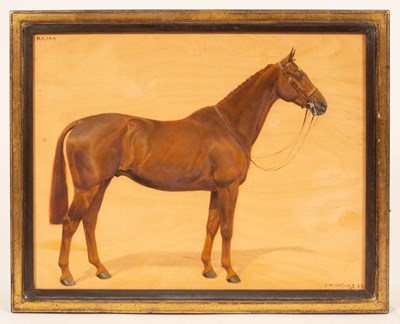 Lot 35 - Frances Mabel Hollams (1877-1963)/Study of a...