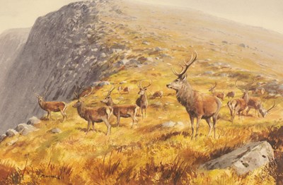 Lot 1112 - Roger McPhail (born 1953)/A Herd of...