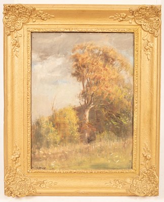Lot 889 - Anthony Devas (1911-1958)/Woodland...