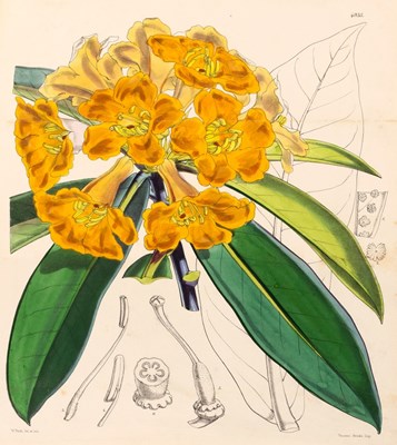 Lot 825 - Curtis (William) The Botanical Magazine; or...