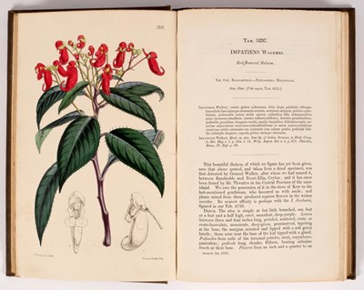 Lot 825 - Curtis (William) The Botanical Magazine; or...