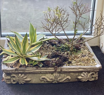 Lot 338 - A shallow lead planter