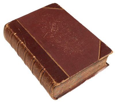 Lot 719 - American Interest