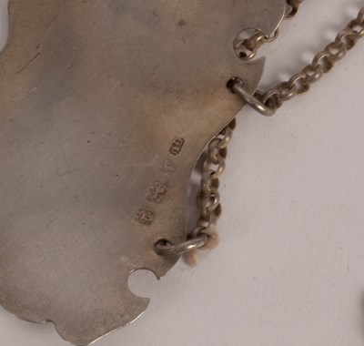 Lot 13 - A George III silver caddy spoon