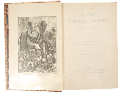 Lot 733 - Natural History