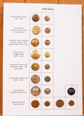 Lot 404 - Irish hunt buttons