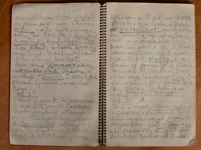 Lot 429 - The Archive of Lady Mary Pamela Madeline Sibell Strickland / Lyon (1895-1991), née Charteris