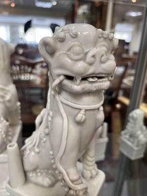 Lot 23 - A Chinese blanc de chine figure of a dog of Fo