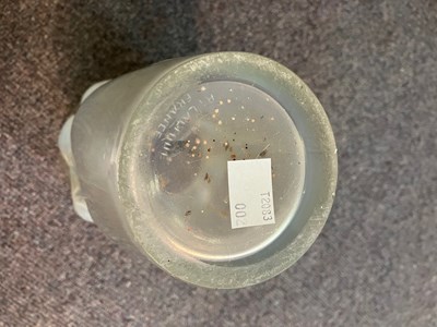 Lot 240 - A Lalique Ceylan pattern vase