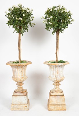 Lot 3 - A pair of cast iron urns