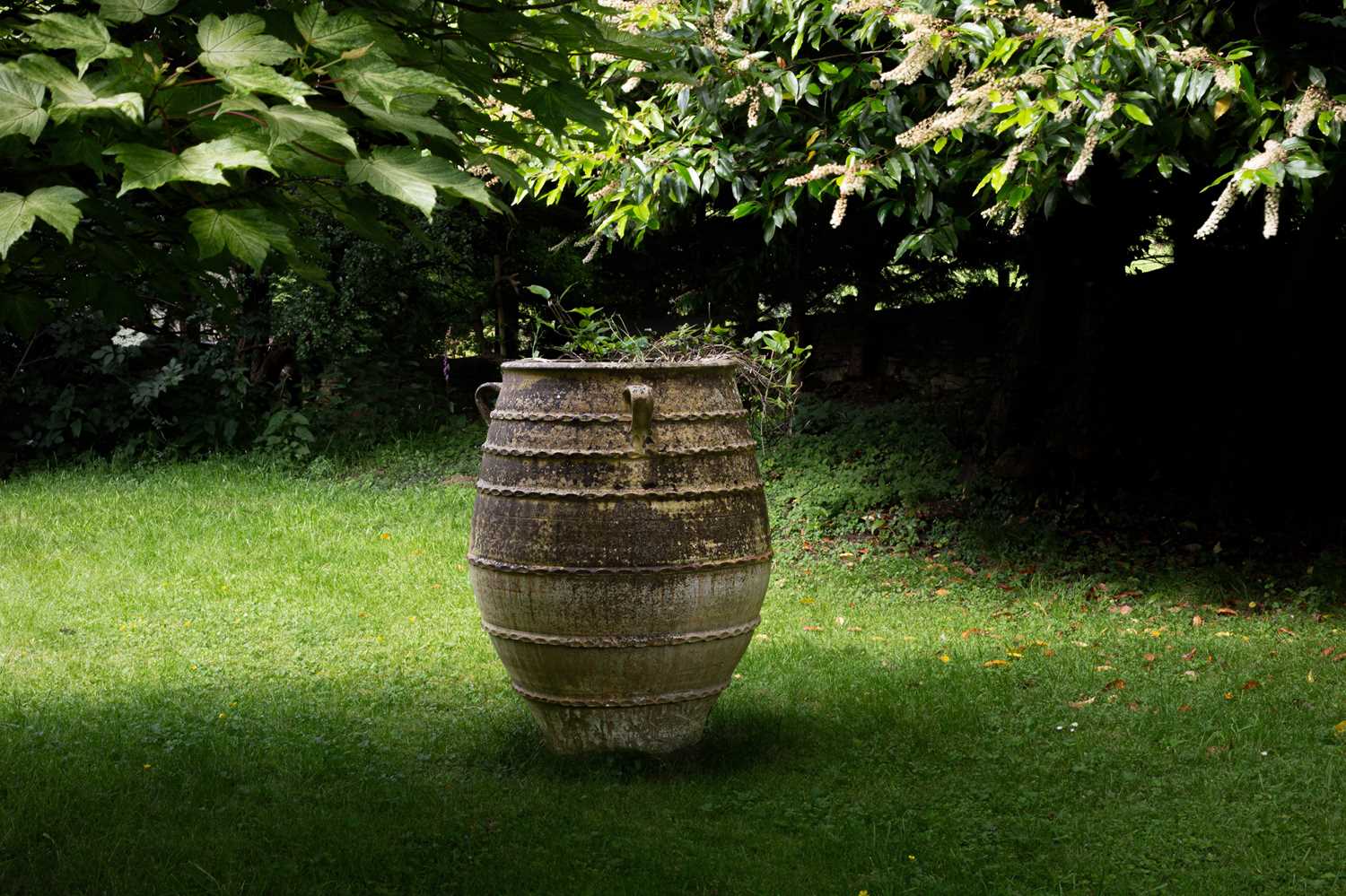 Lot 30 - Five various olive jars