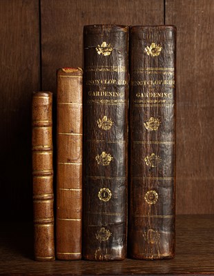 Lot 253 - Gardening