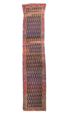 Lot 401 - A Malayir runner