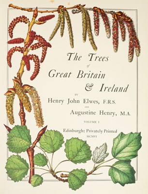 Lot 267 - Elwes (Henry John) The Trees of Great Britain & Ireland
