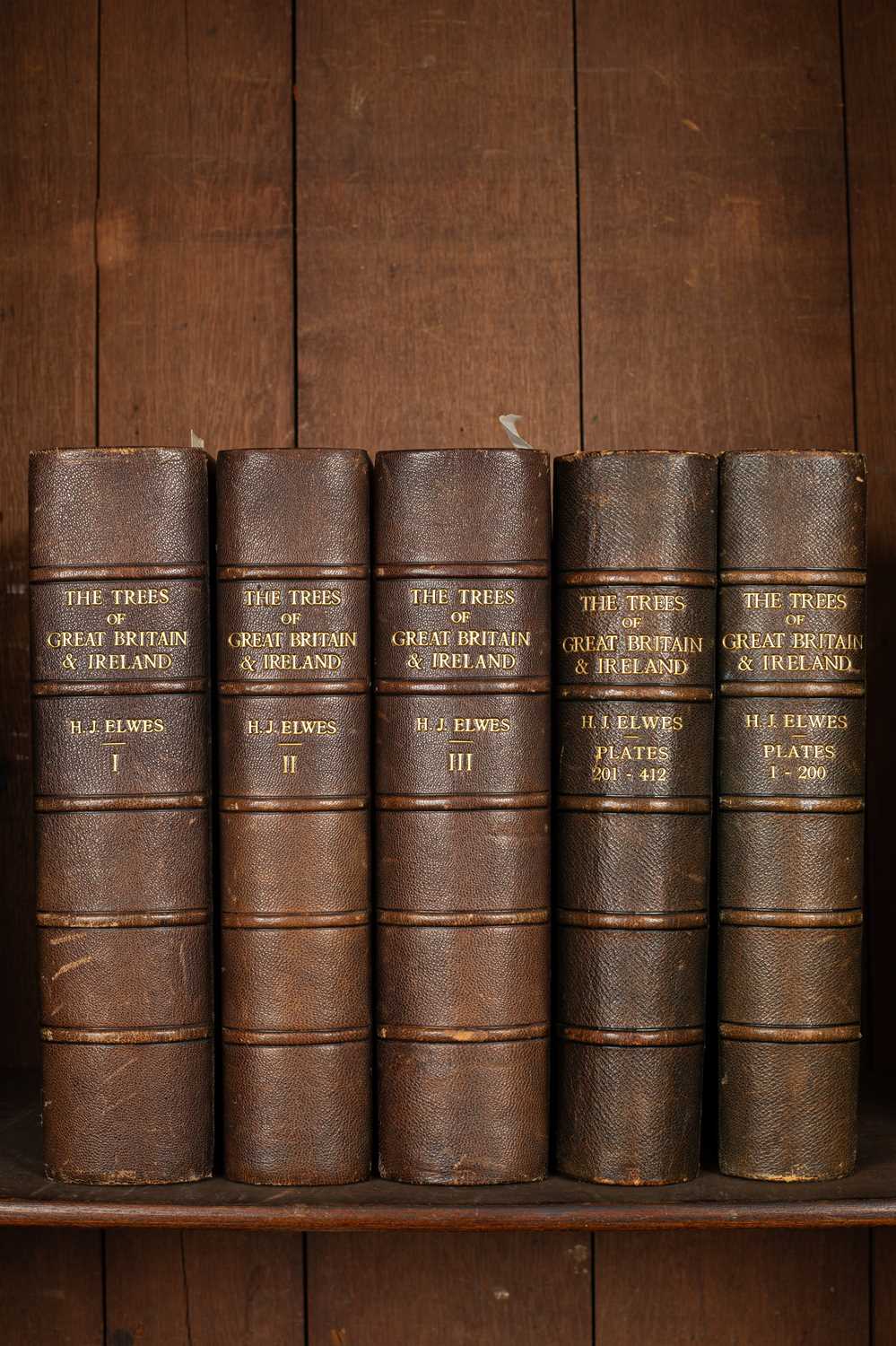 Lot 267 - Elwes (Henry John) The Trees of Great Britain & Ireland