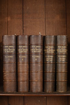 Lot 267 - Elwes (Henry John) The Trees of Great Britain & Ireland