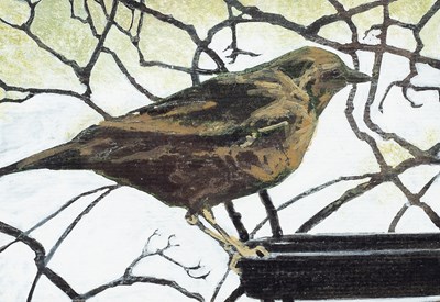 Lot 184 - Helen Fay (born 1968)