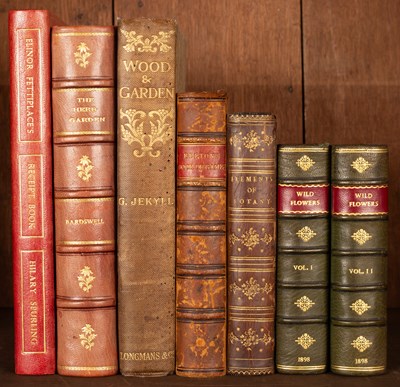 Lot 495 - Botany and Household