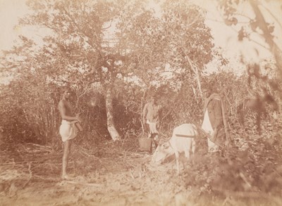Lot 599 - Attributed to Willoughby Wallace Hooper (1837-1912) and others