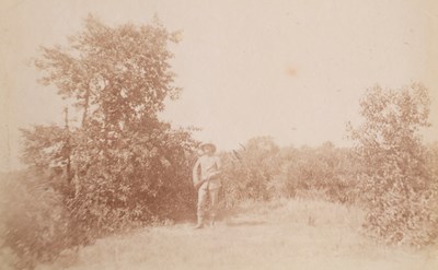 Lot 599 - Attributed to Willoughby Wallace Hooper (1837-1912) and others