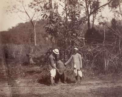 Lot 599 - Attributed to Willoughby Wallace Hooper (1837-1912) and others