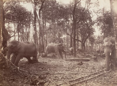 Lot 599 - Attributed to Willoughby Wallace Hooper (1837-1912) and others