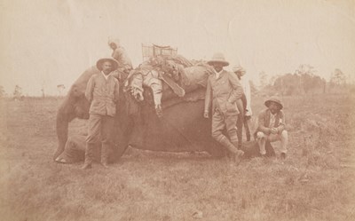 Lot 599 - Attributed to Willoughby Wallace Hooper (1837-1912) and others