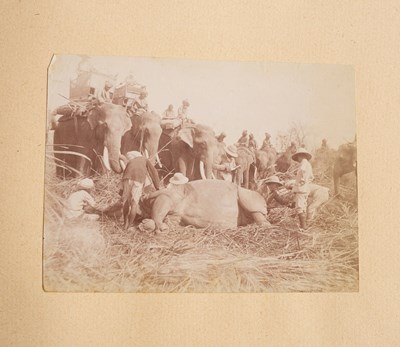 Lot 599 - Attributed to Willoughby Wallace Hooper (1837-1912) and others