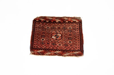 Lot 696 - A Tekke horse cover