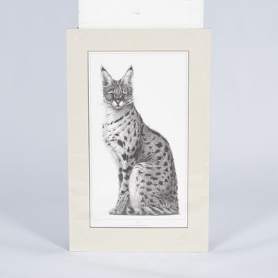 Lot 276 - Gary Hodges (born 1954)