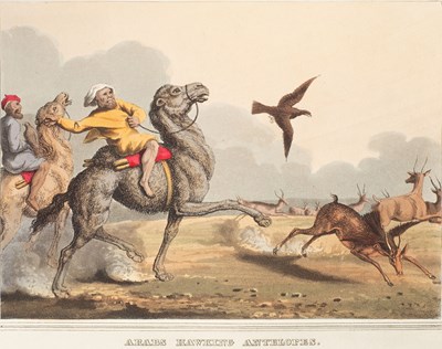 Lot 376 - [Williamson, Thomas] Foreign Field Sports, Fisheries, sporting antidotes