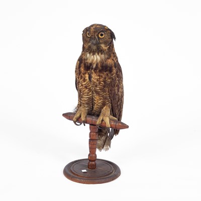 Lot 347 - A late Victorian taxidermy great horned owl