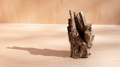 Lot 376 - Aneta Regel (Polish, born 1976)