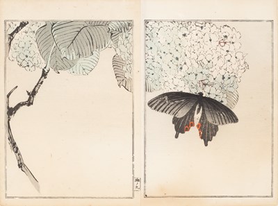 Lot 72 - After Watanabe Seitei (1851-1918)
