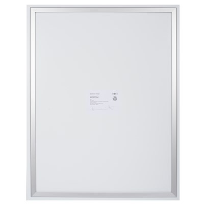 Lot 323 - Damien Hirst (born 1965) The Secrets (H14)