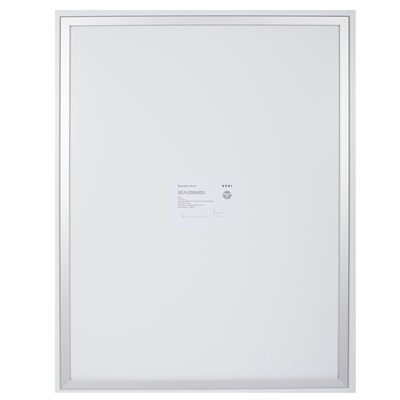 Lot 323 - Damien Hirst (born 1965) The Secrets (H14)