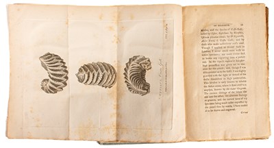 Lot 679 - White (Gilbert) The Works in Natural History